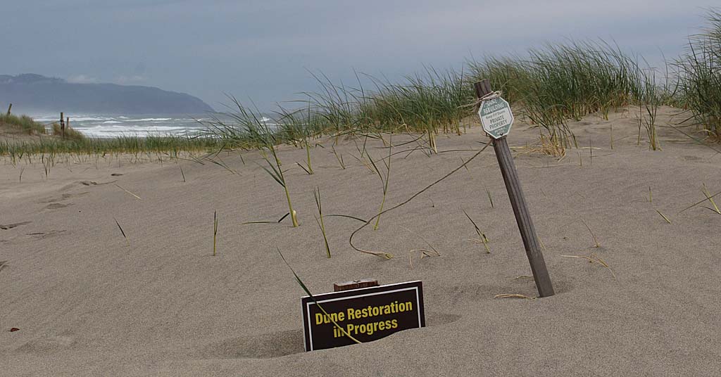 Dune restoration sign